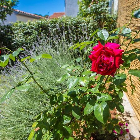 Apartment Rosse Пореч Экстерьер фото